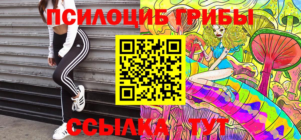 Галлюциногенные грибы Cubensis  Вход с VPN  Кемерово  Галлюциногенные грибы Magic Shrooms 